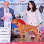 Mabel winning her 4th RESERVE BEST IN SHOW
